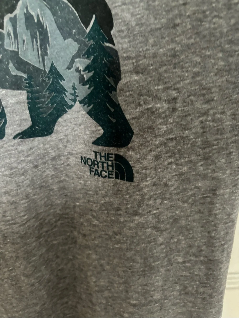 The North Face Men's Charcoal Gray Bear Graphic Short Sleeve Tee